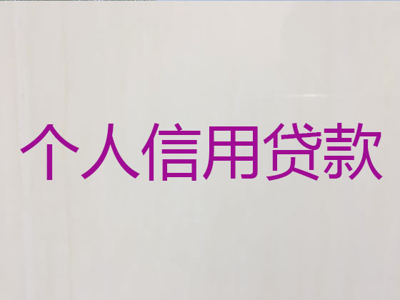 江油市抵押贷款公司-银行信用贷款